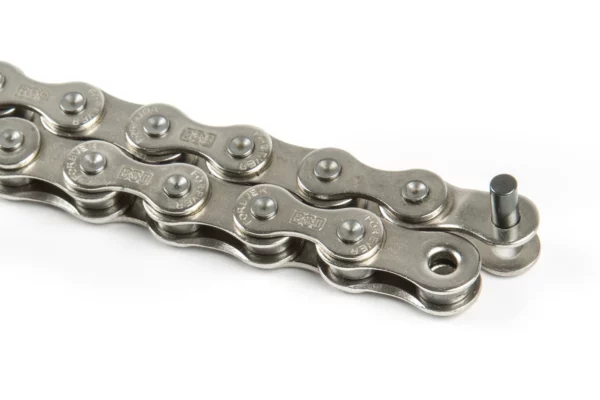 BSD FOREVER CHAIN