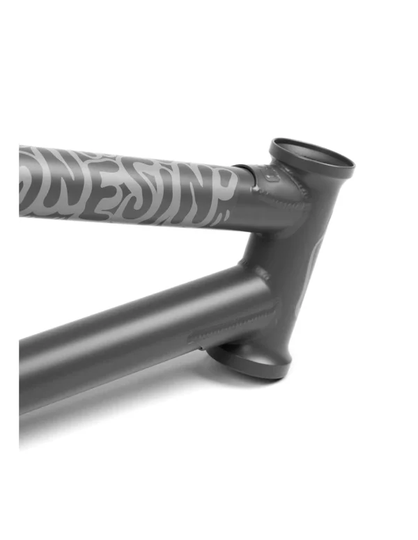 BSD JONESIN' FRAME GRAPHITE