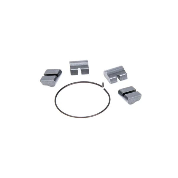 SALT EX SPRING AND PAWL KIT